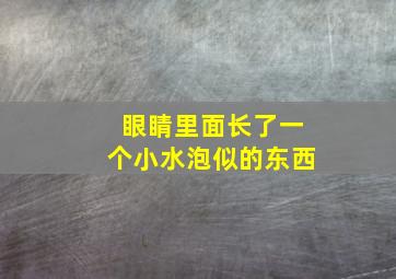 眼睛里面长了一个小水泡似的东西