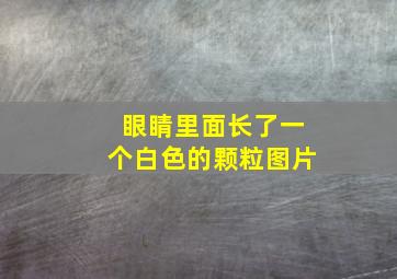 眼睛里面长了一个白色的颗粒图片