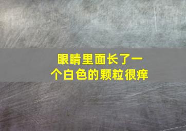 眼睛里面长了一个白色的颗粒很痒