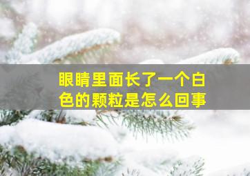 眼睛里面长了一个白色的颗粒是怎么回事