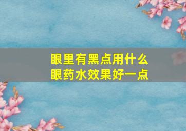 眼里有黑点用什么眼药水效果好一点