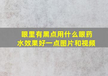 眼里有黑点用什么眼药水效果好一点图片和视频