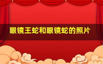 眼镜王蛇和眼镜蛇的照片