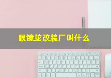 眼镜蛇改装厂叫什么