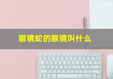 眼镜蛇的眼镜叫什么