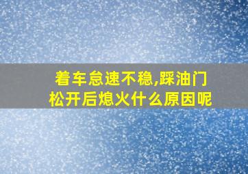 着车怠速不稳,踩油门松开后熄火什么原因呢