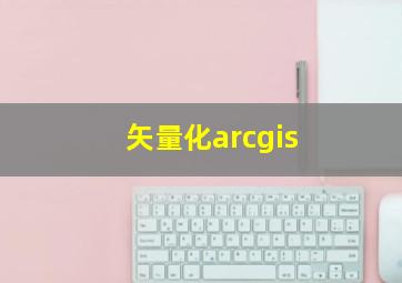 矢量化arcgis