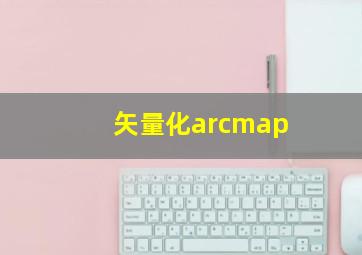 矢量化arcmap