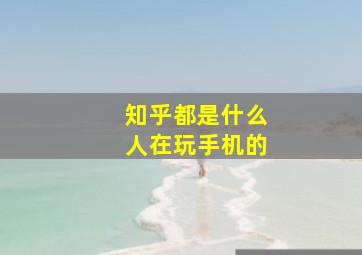 知乎都是什么人在玩手机的