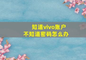 知道vivo账户不知道密码怎么办