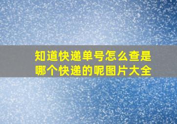 知道快递单号怎么查是哪个快递的呢图片大全