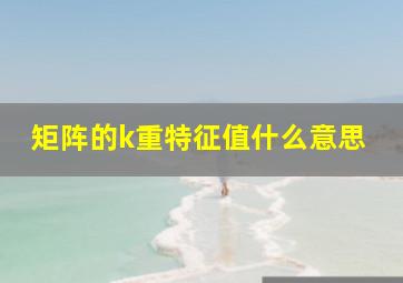 矩阵的k重特征值什么意思