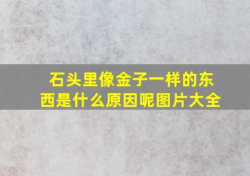 石头里像金子一样的东西是什么原因呢图片大全