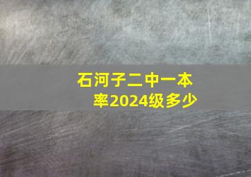 石河子二中一本率2024级多少