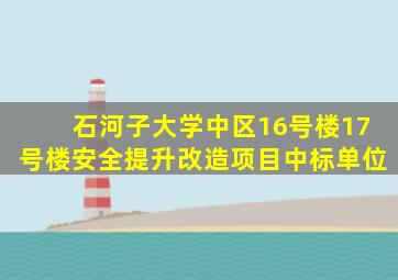 石河子大学中区16号楼17号楼安全提升改造项目中标单位