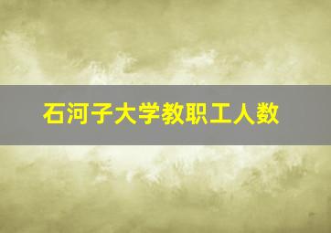 石河子大学教职工人数