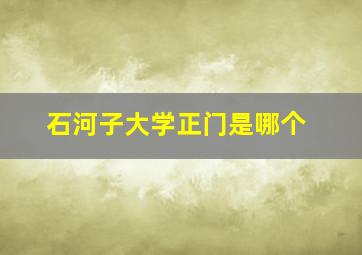 石河子大学正门是哪个