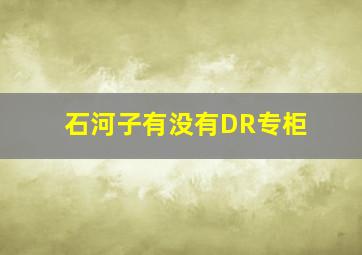 石河子有没有DR专柜