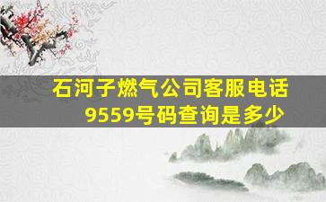 石河子燃气公司客服电话9559号码查询是多少