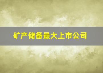 矿产储备最大上市公司