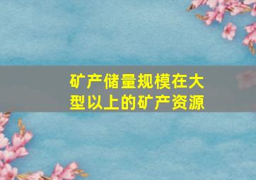 矿产储量规模在大型以上的矿产资源