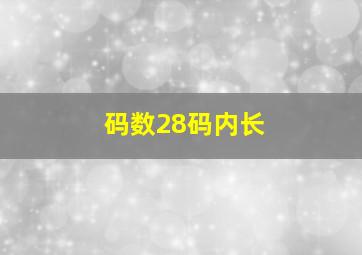 码数28码内长