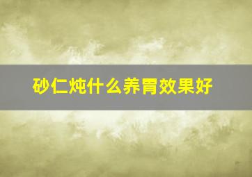 砂仁炖什么养胃效果好