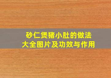 砂仁煲猪小肚的做法大全图片及功效与作用