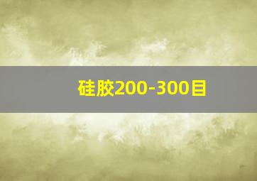 硅胶200-300目