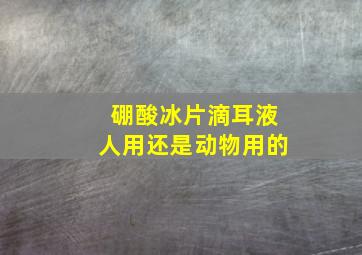 硼酸冰片滴耳液人用还是动物用的