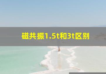 磁共振1.5t和3t区别