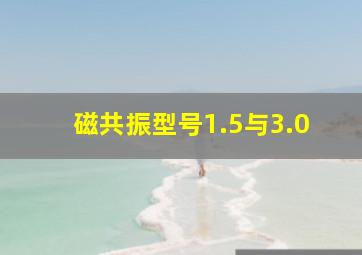 磁共振型号1.5与3.0