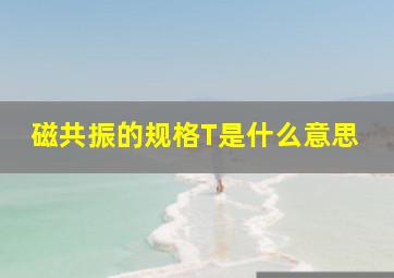 磁共振的规格T是什么意思