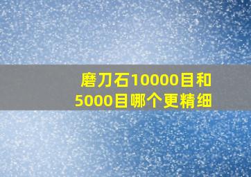 磨刀石10000目和5000目哪个更精细