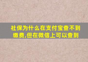 社保为什么在支付宝查不到缴费,但在微信上可以查到