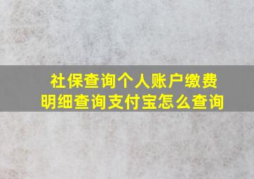 社保查询个人账户缴费明细查询支付宝怎么查询