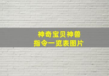 神奇宝贝神兽指令一览表图片