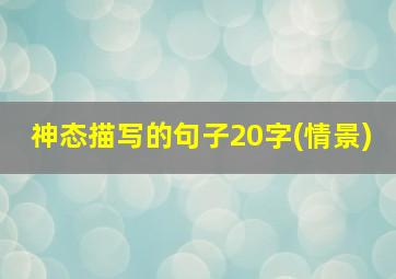 神态描写的句子20字(情景)