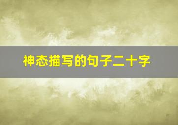 神态描写的句子二十字