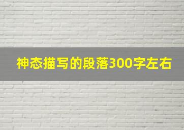 神态描写的段落300字左右