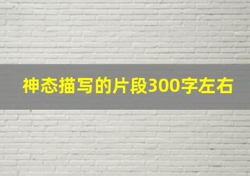 神态描写的片段300字左右