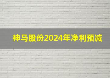 神马股份2024年净利预减