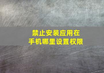 禁止安装应用在手机哪里设置权限