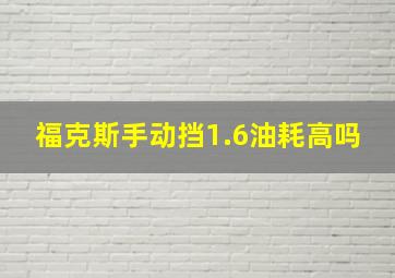 福克斯手动挡1.6油耗高吗