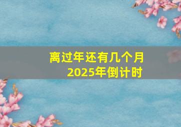 离过年还有几个月2025年倒计时