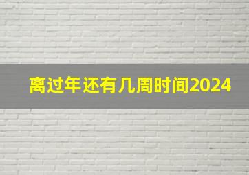 离过年还有几周时间2024