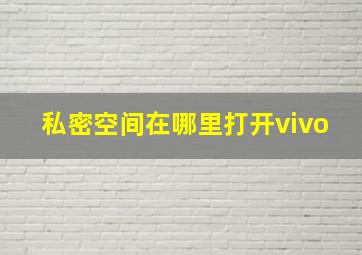 私密空间在哪里打开vivo