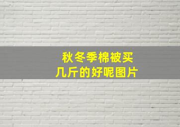 秋冬季棉被买几斤的好呢图片