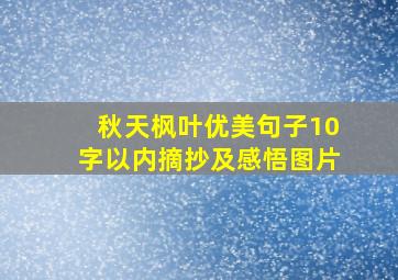 秋天枫叶优美句子10字以内摘抄及感悟图片