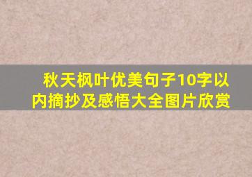 秋天枫叶优美句子10字以内摘抄及感悟大全图片欣赏